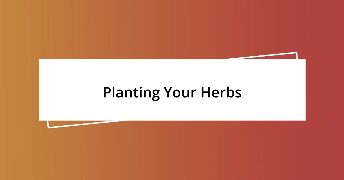 Planting Your Herbs