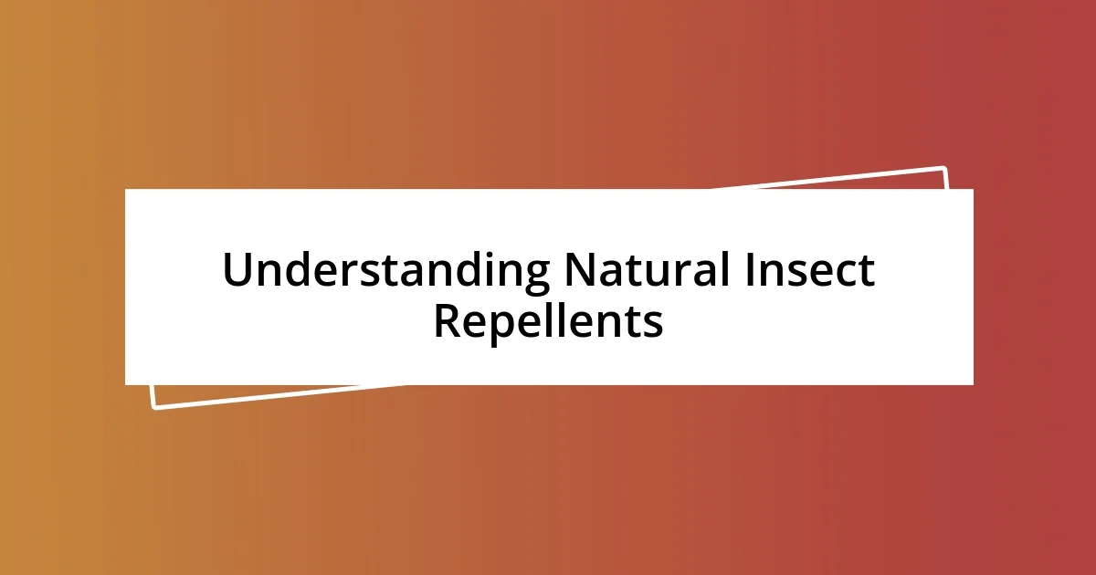 Understanding Natural Insect Repellents